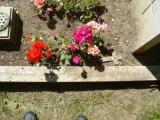 image of grave number 730706